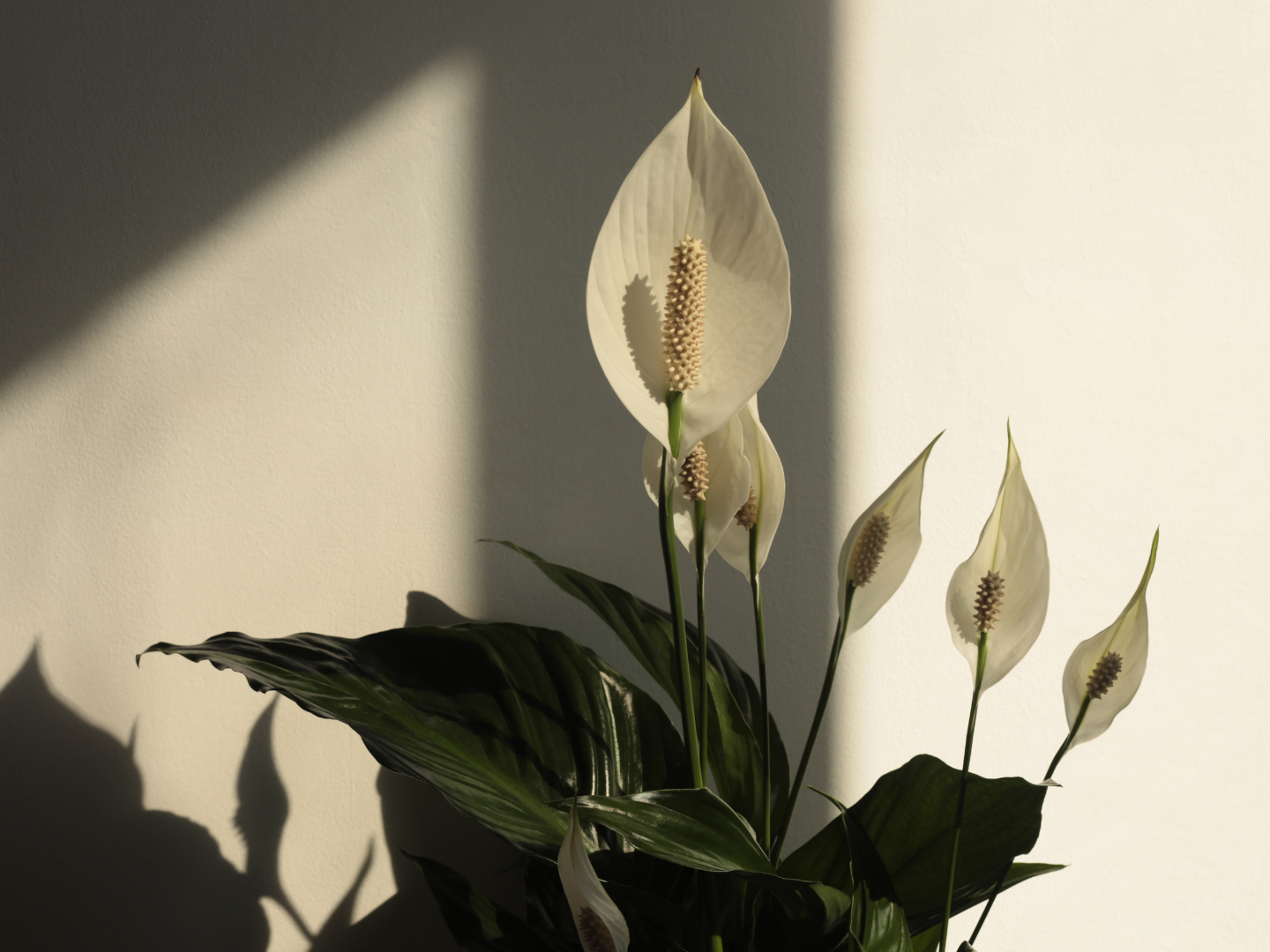 Luxury spa in Vero Beach, Florida offering advanced facial treatments, lash extensions, and permanent makeup at GT LAB Salon and Spa.